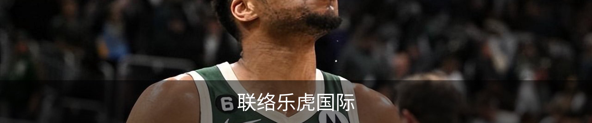 联络乐虎国际
